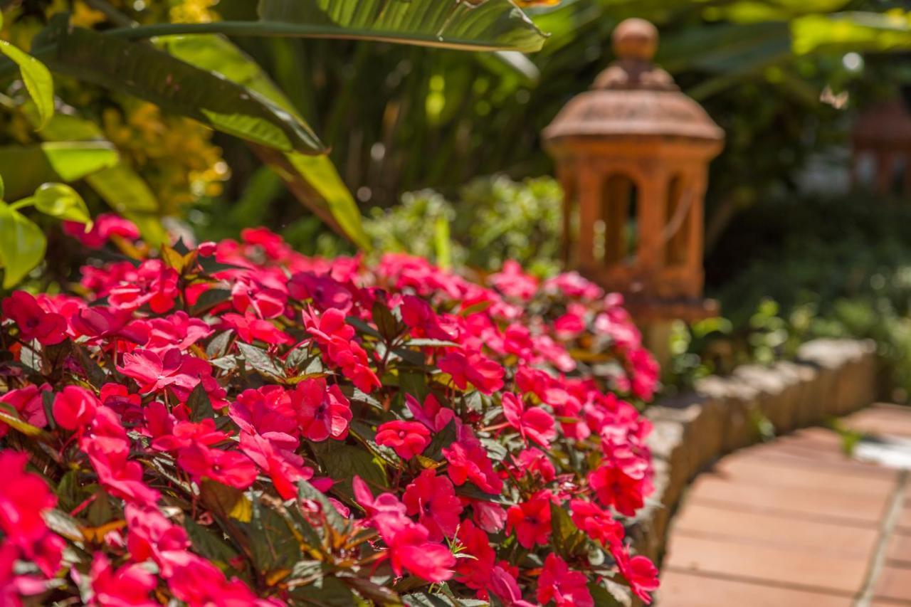 Hotel Spa Bosque Mar Reboredo Εξωτερικό φωτογραφία